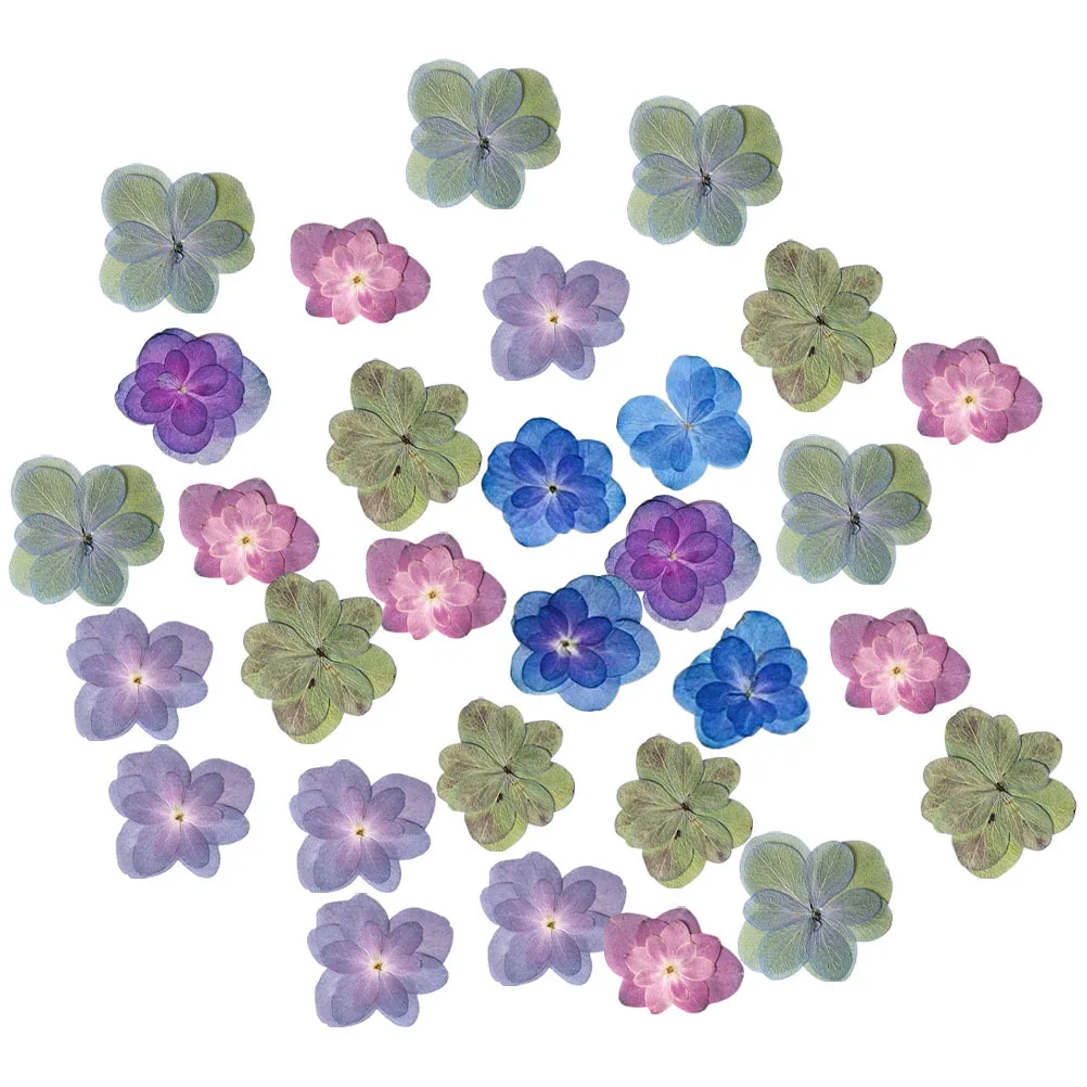 30 peças flores secas prensadas em relevo real para artesanato de resina diy fazendo scrapbooking material floral natural multicolorido