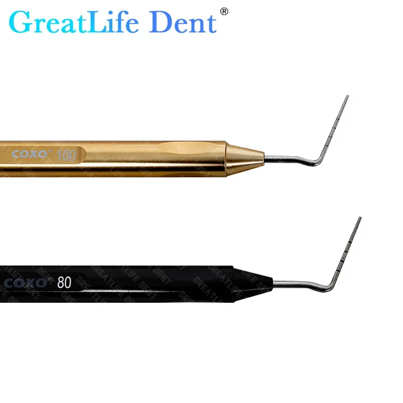 GreatLife Dent COXO 1Set Dental Presents Endodontic Canal Pressurizer Tips Vertical Root Resin Filling Aesthetic Restoration Kit