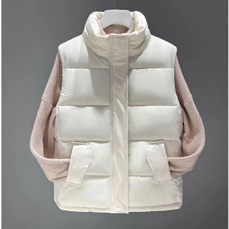 2024 New Vest Jacket donna autunno inverno piumino di cotone gilet femminile allentato coreano giacca imbottita di cotone cappotto senza maniche marea