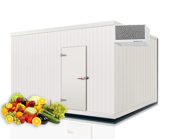 Cold Room Storage Walk in Cold Room Refrigeration Modular Cold Room Freezer Cold Storage