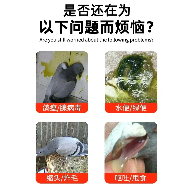 Thumbnail 4 - #69 Latest Bird Supplies Offers