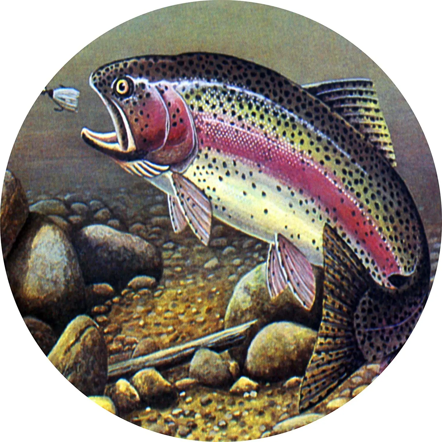 

TIRE COVER CENTRAL Trout Fishing Spare Tire Cover ( Custom Sizes