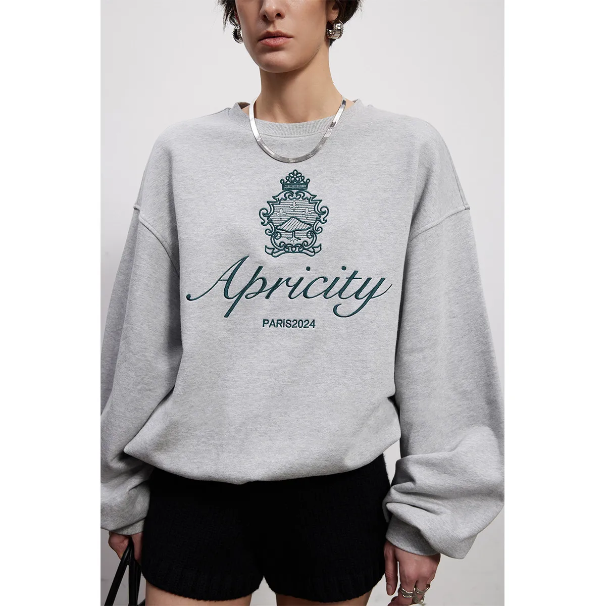 American Retro Style Embroidered Crewneck Pullover 2024 Autumn New Cotton Thick Warm Sweatshirts Women Street Fashion Jumpers