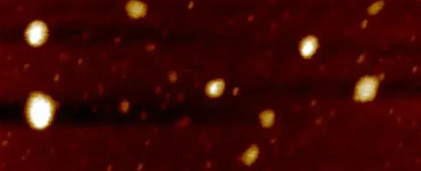 Single‑Layer Nb2C MXene, In‑Situ Loaded Nano‑Platinum For Electrochemical Lab Research