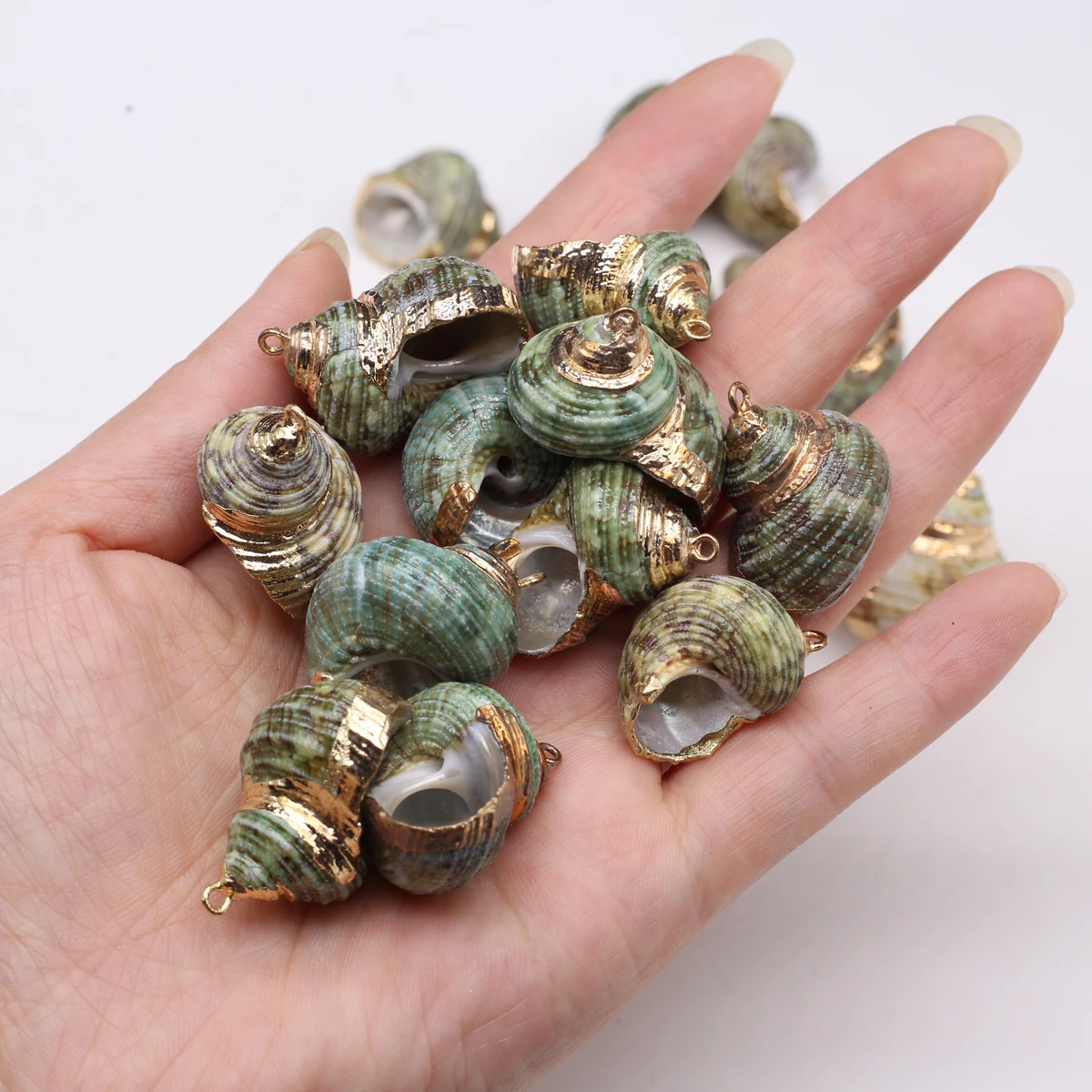 

10pcs/set Green Conch Shell-Shaped Pendant Natural Shell Charms for Jewelry Making DIY Necklace Earrings Accessory Wholesale