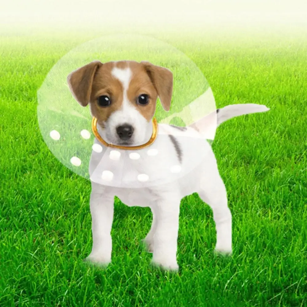 

Transparent Cat Recovery Collar Adjustable Anti-licking Cat Elizabethan Collar Plastic Anti-bite Dog Neck Cone Stop Licking