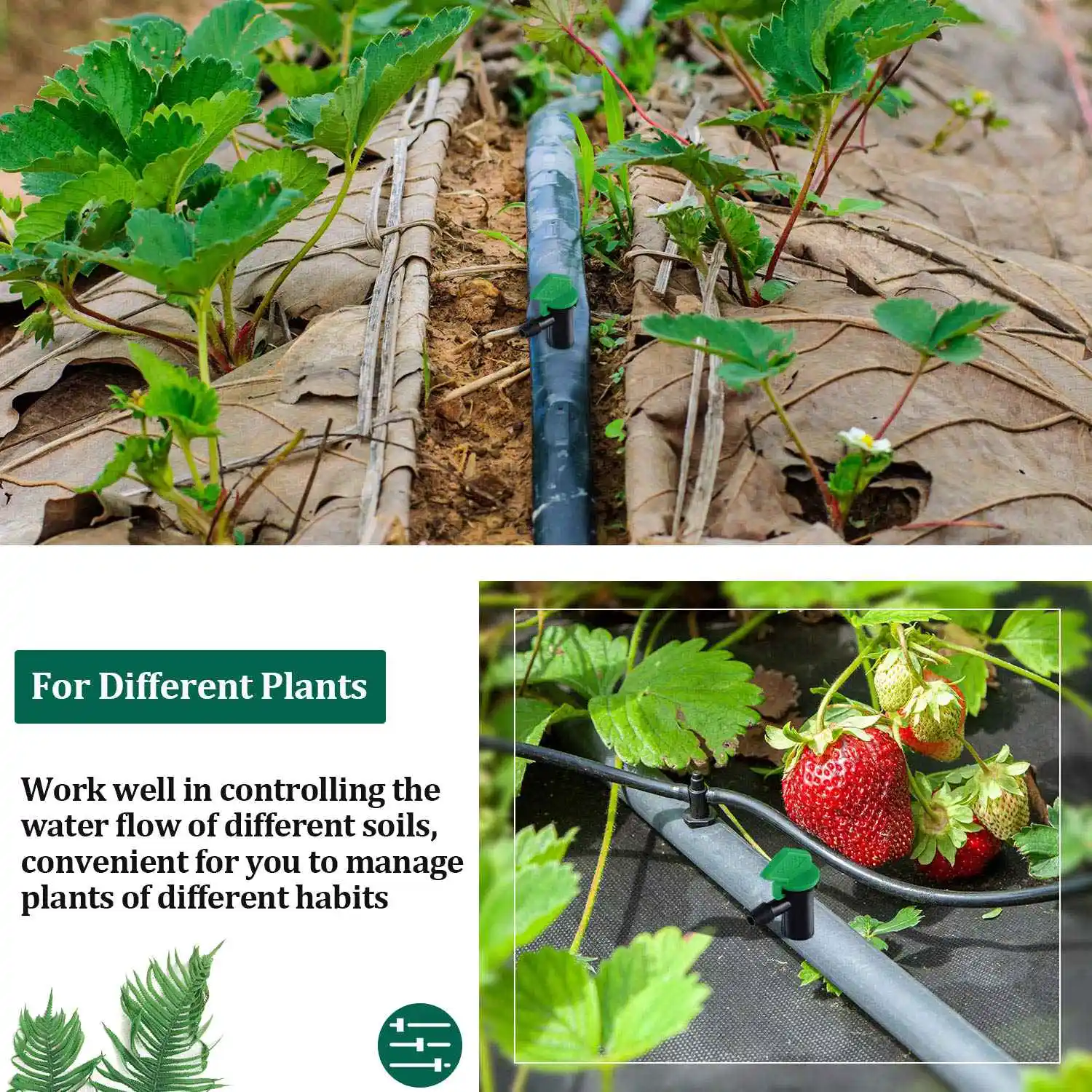 A17Z 60 قطعة 4GPH قابلة للإزالة بالرش بالتنقيط الري بالتنقيط باعث حديقة العلم الري بالمنقط، للأشجار والشجيرات #3