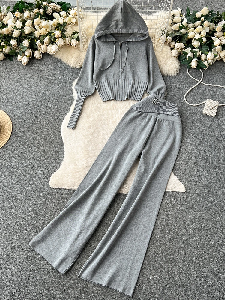 TWOTWINSTYLE Solid Casual Two Piece Set For Women Hooded Long Sleeve Coats High Waist Straight Loose Pant Chic Set Female Autumn