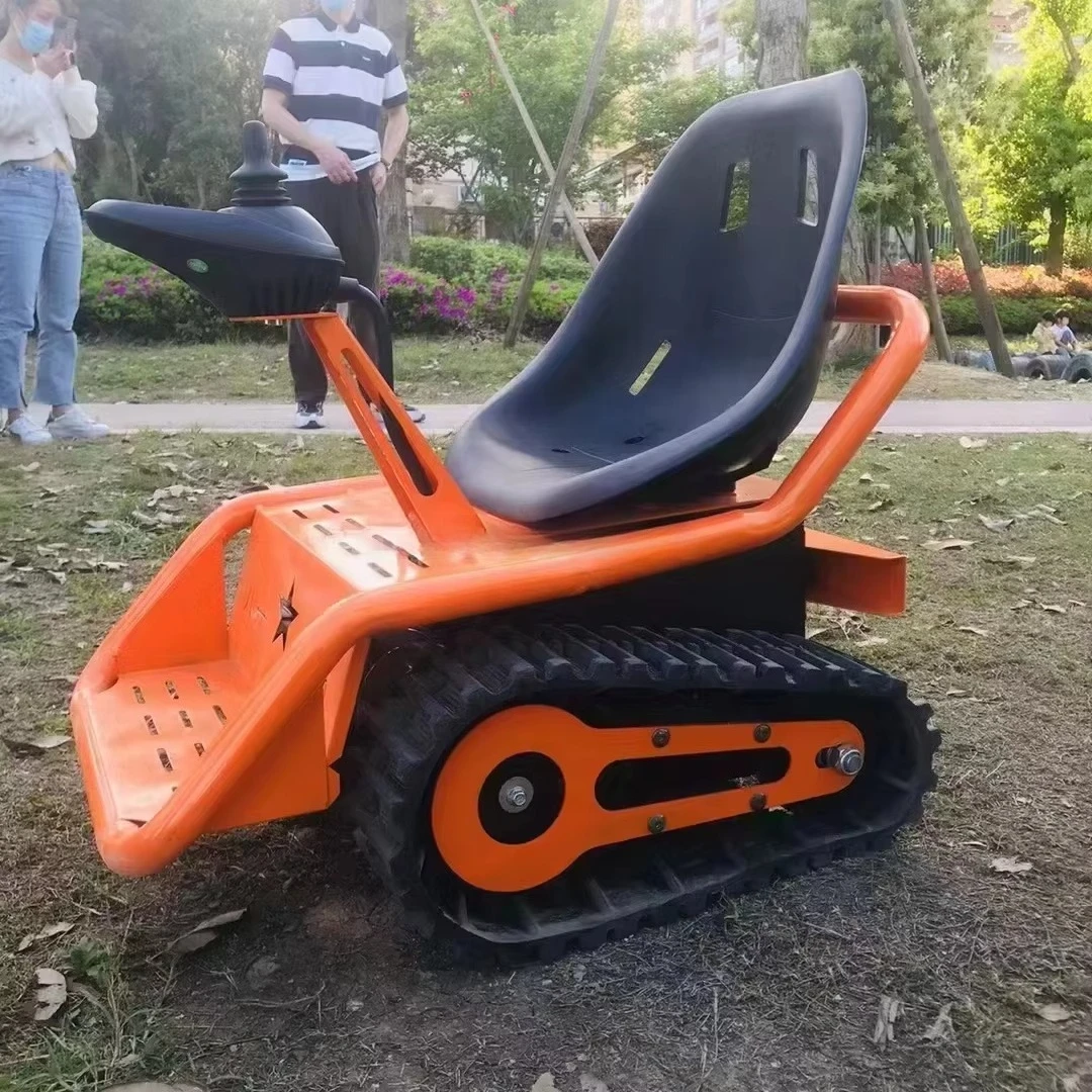 Electric Go Kart for Family Ve - Kids Outdoor Venues 评论和价格