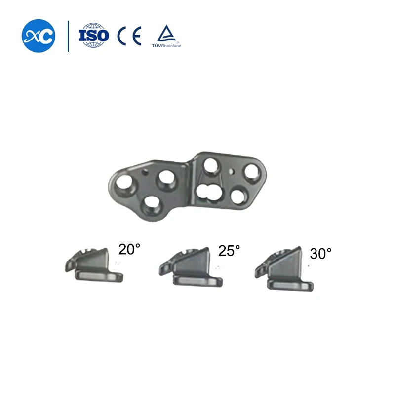 

20 25 30 Degree Rotation Stainless Steel Dpo/Tpo Locking Plate Veterinary Orthopedic Surgical Implants And Instruments