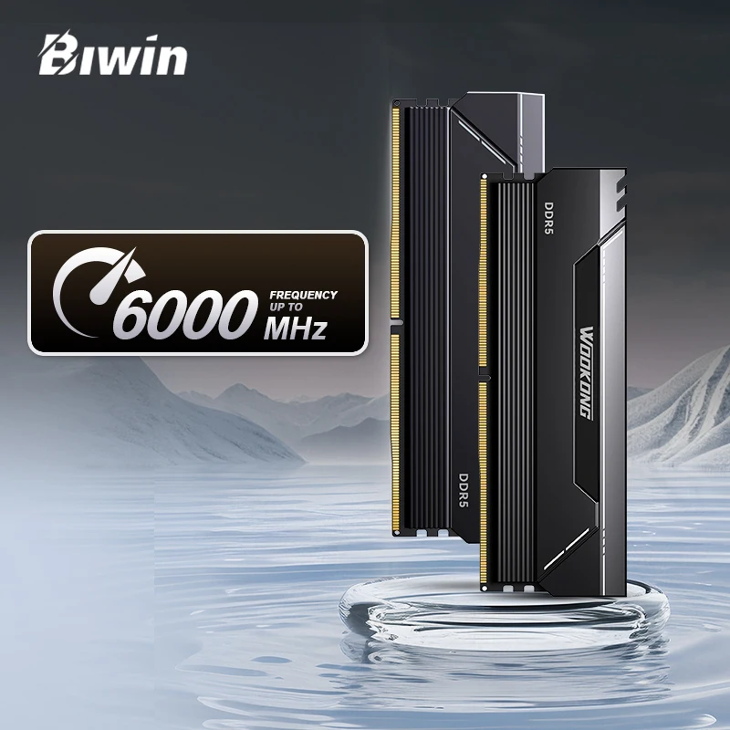 

Biwin DDR5 16 ГБ x 2 24 ГБ x 2, 6000 МГц UDIMM Оперативная память для настольного компьютера