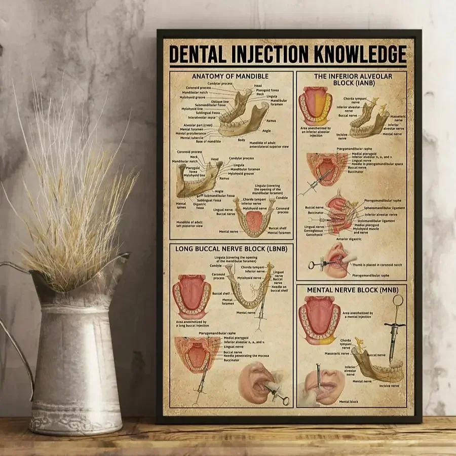 Dental Injection Knowledge Gift for Dentist Clinic Mural Wall Art Pictures Posters Canvas Paintings Room Decorations Home Decor