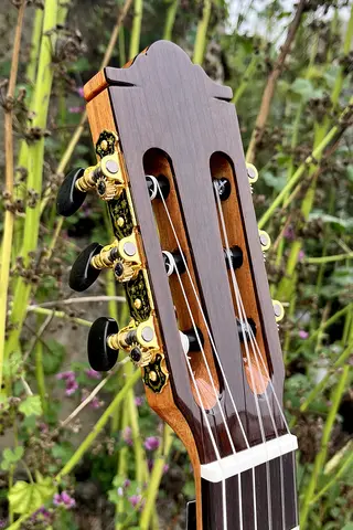 अच्छी गुणवत्ता वाला शास्त्रीय गिटार, हस्तनिर्मित, ठोस शीर्ष, शीशम, पीछे और साइड नायलॉन स्ट्रिंग 8 best sales शास्त्रीय गिटार - №5