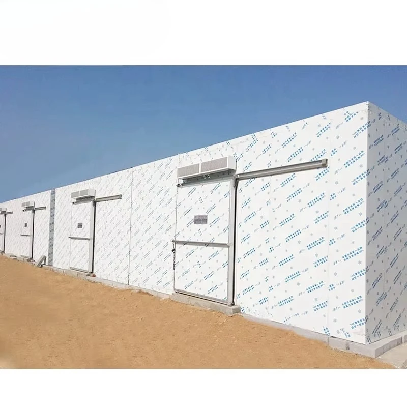 Container refrigerator Seafood refrigerator