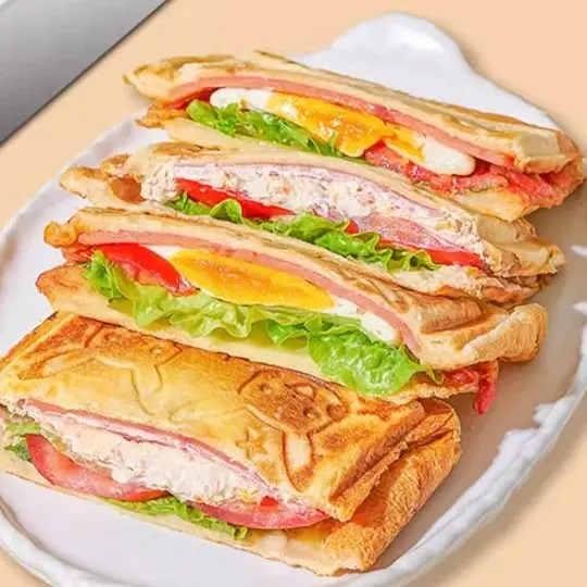 Multifunctional San…