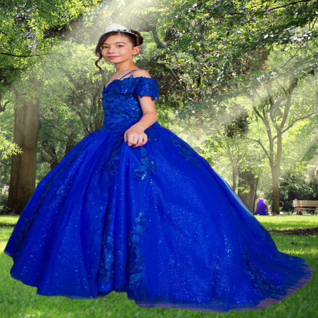 

Royal Blue Flower Girl Dresses for Wedding Lace Appliques Sequins Girl Kids Birthday Party First Communion Gown Customized