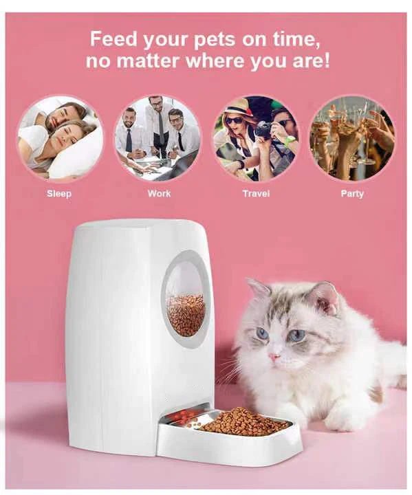 Wholesale Smart APP Pet Feeder Visual Window Automatic Dog Cat Food Dispenser Feeding Bowl Wifi with Voice Recording