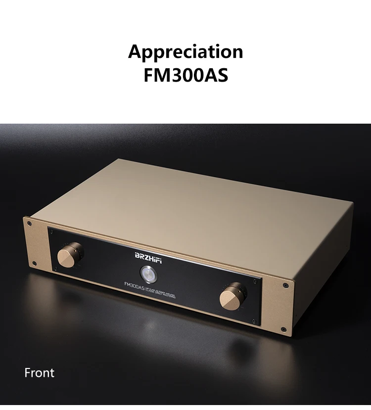 Weiliang FM300AS High-Power Amplifier Audiophile Hi-Fi Class A/B Power Amplifier