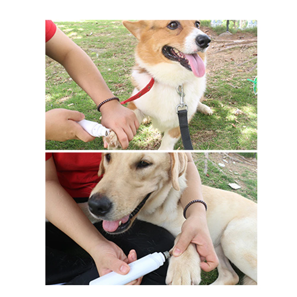 

1pc Pet Clipper For Dog Cat Abs Material Silent Portable Nail Trimmer Durable Pet Nail Cleaning Tool Mute Grooming Cutter Grey