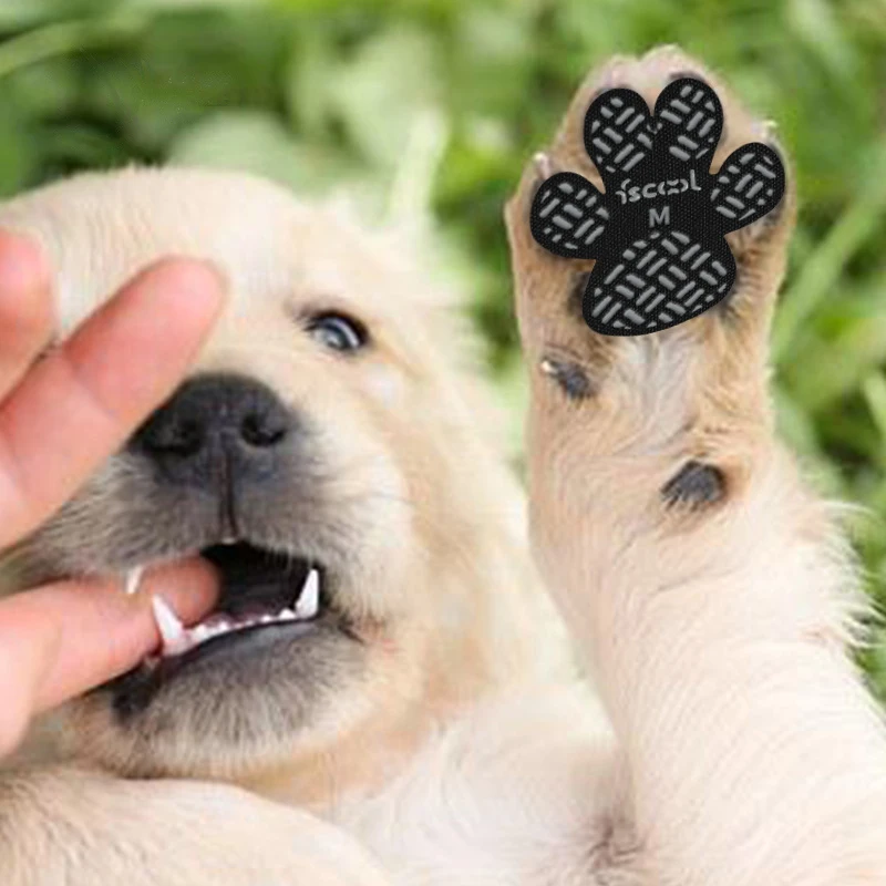 Almohadillas de tracción antideslizantes para patas de perro, pegatinas de protección con adhesivo más fuerte para suelo duro o lesiones, paquete de