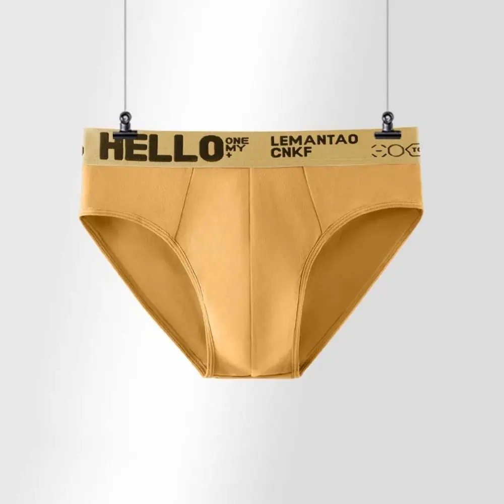 5PCS Comfortable Low Waist Men Thin Panties Male Lingerie Elastic Underwear for Men Briefs Letter Underpants Four Seasons