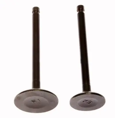 Exhaust Valve Inlet Valve Fit for Kipor Kama 192F Diesel Engine Generator
