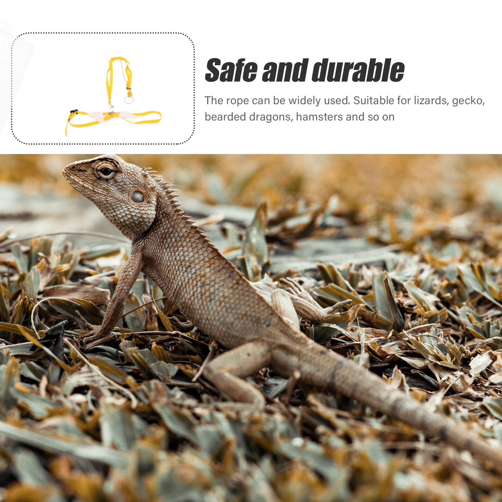 

Lizard Traction Rope Durable Reptile Hauling Cable Exquisite Workmanship Pet Walking Rope Gift Reptile Hauling Cable