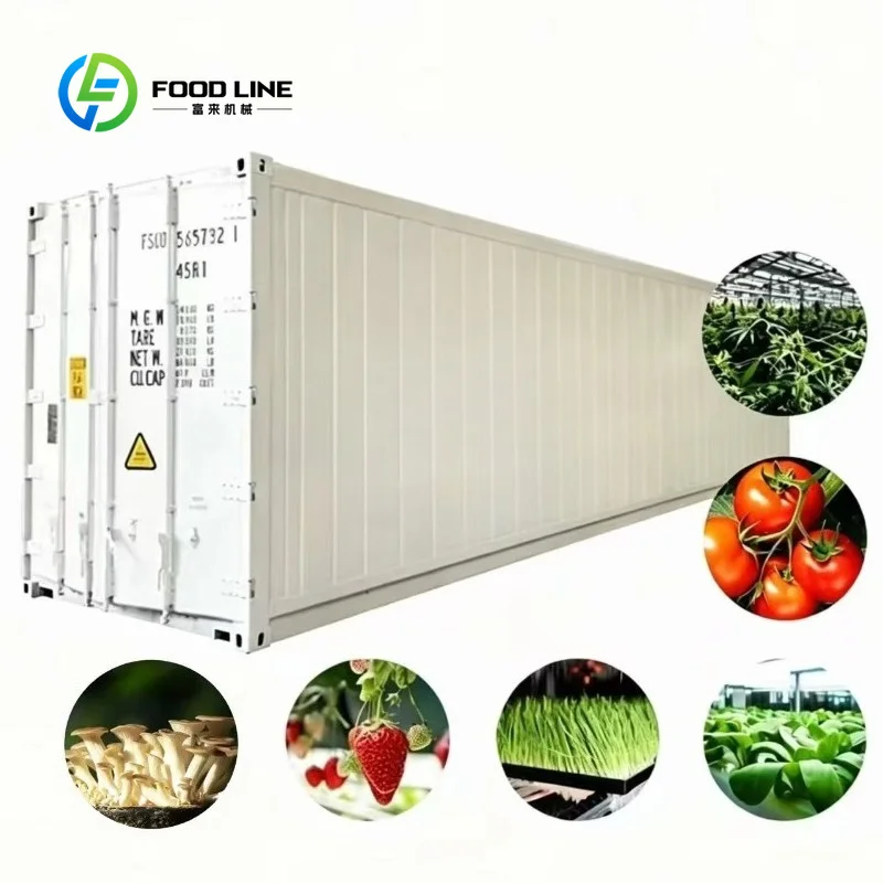 Mushroom Growing Container Farm with Climate Control for Year Round Harvest Button Cultivation hydroponics system greenhouse