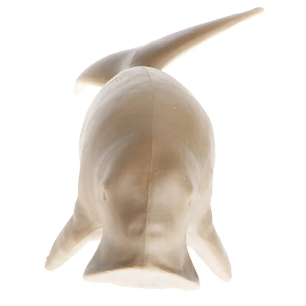 Figurine d'action de lamantin réaliste, modèle Dugong Ocean en plastique, 5.6 en effet