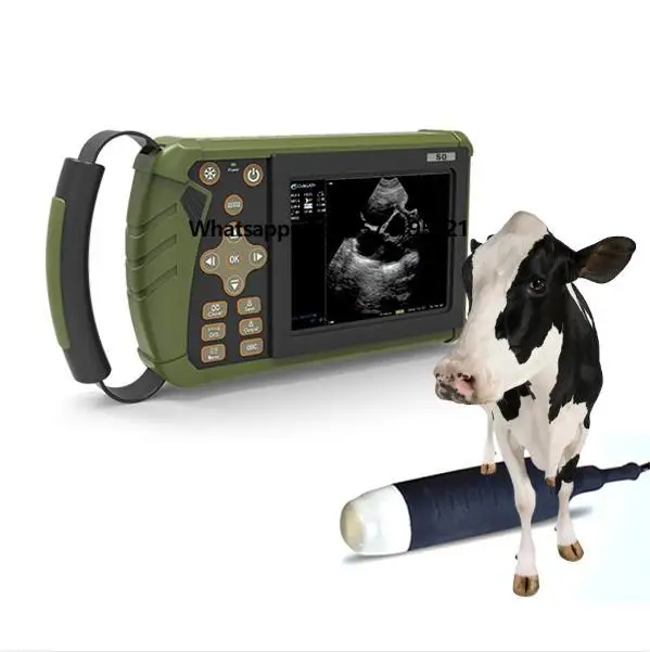 

Medical Ultrasound Test Instrument Vet Ultrasound Veterinary Test Instrument Handheld Vet Ultrasound Device