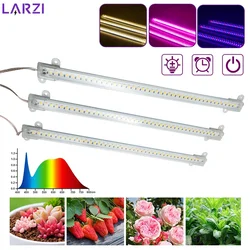 Lámpara Phyto LED de espectro completo, barra de luz de Cultivo USB de 5V, 30cm, 1T, 2T, 3T, 4T, plantas, flores, invernadero, Cultivo hidropónico