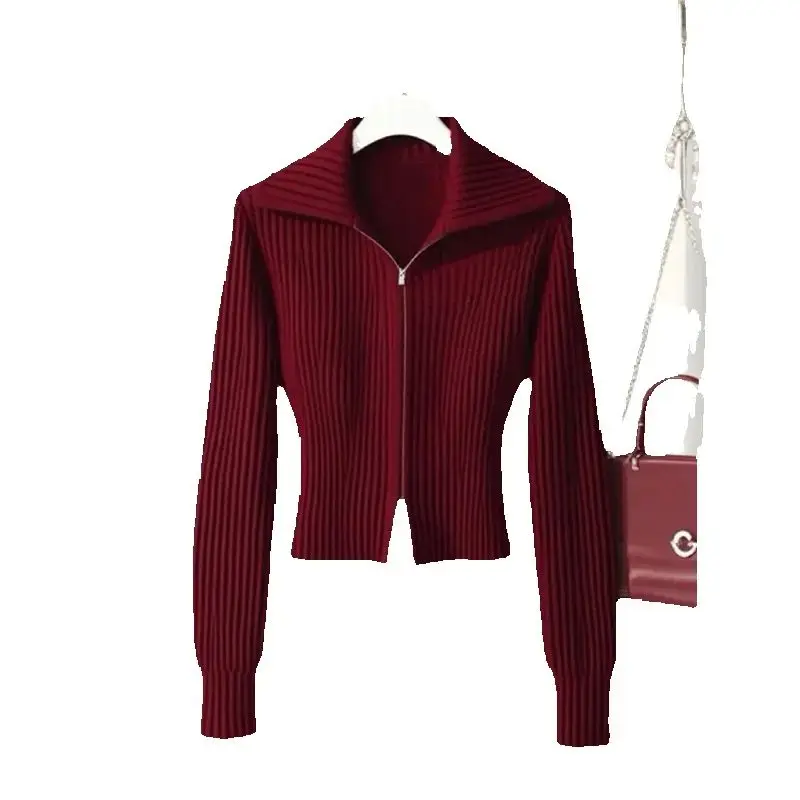 Herfst Winter Vrouwen Trui Vest Vrouwen 2025, Nieuwe Mode Losse Casual Truien Rits Pure Kleur Zwart Bovenkleding Vrouwelijke