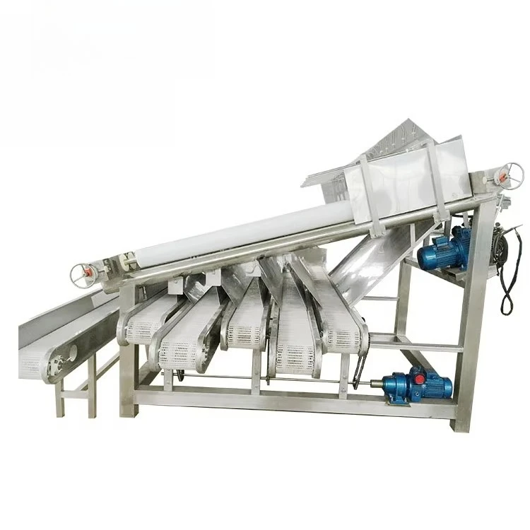 Picture 4: Industrial crayfish and shrimp processing machine - cleaning, sorting and grading machine equipment