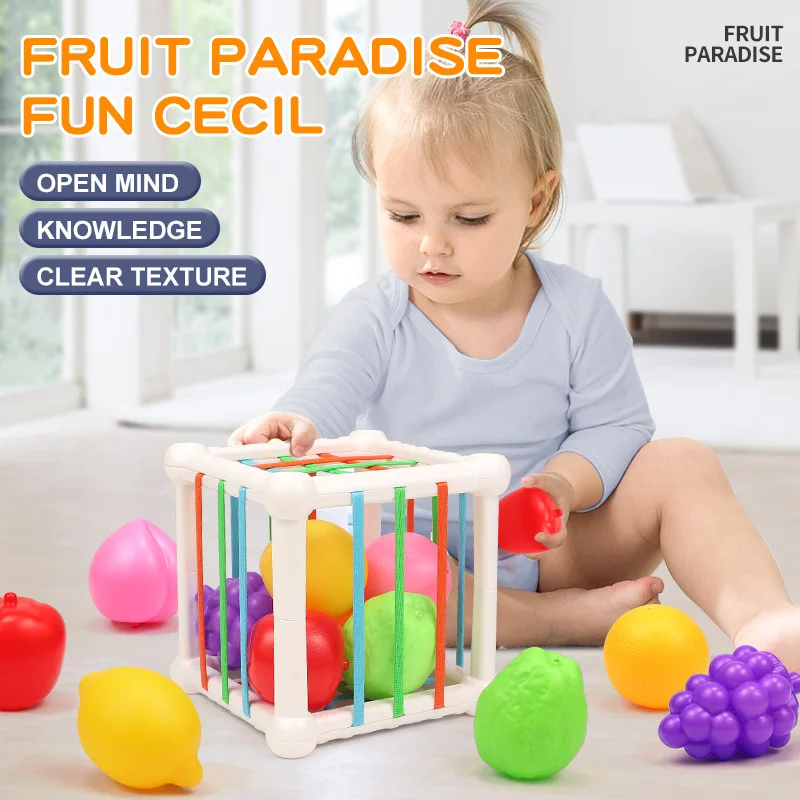 Montessori Toy Colorful Fruit Sorting Game Baby Motor Skill Tactile Learning Educational Toys for Children 1-3 Years Baby Gift