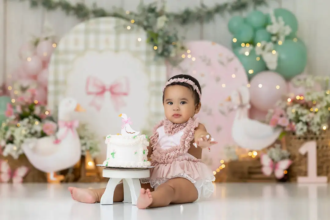 Cute Birthday Photo Backdrop Set Goose Pink Doll Purple Fairy Hot Air Balloon Graduation Superhero Hanukkah Lavender Ocean