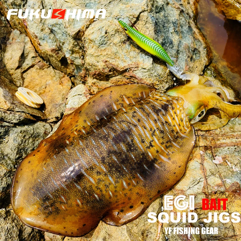 

FUKUSHIMA 2.5 SQUID JIGS GLOW EGI LURE FISHING WOOD SHRIMP BAIT SHARP HOOKS 12GRAMS CUTTLEFISH OCTOPUS BOAT AND ROCK FISHING