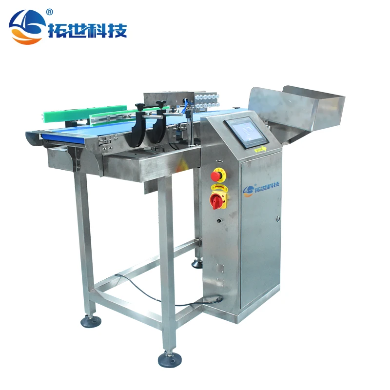 Macchina per lo smistamento di frutta e frutti di mare per pesci Trasportatore a alimentazione automatica Macchina per la classificazione del trasportatore a tavola rotante per alimentazione separata