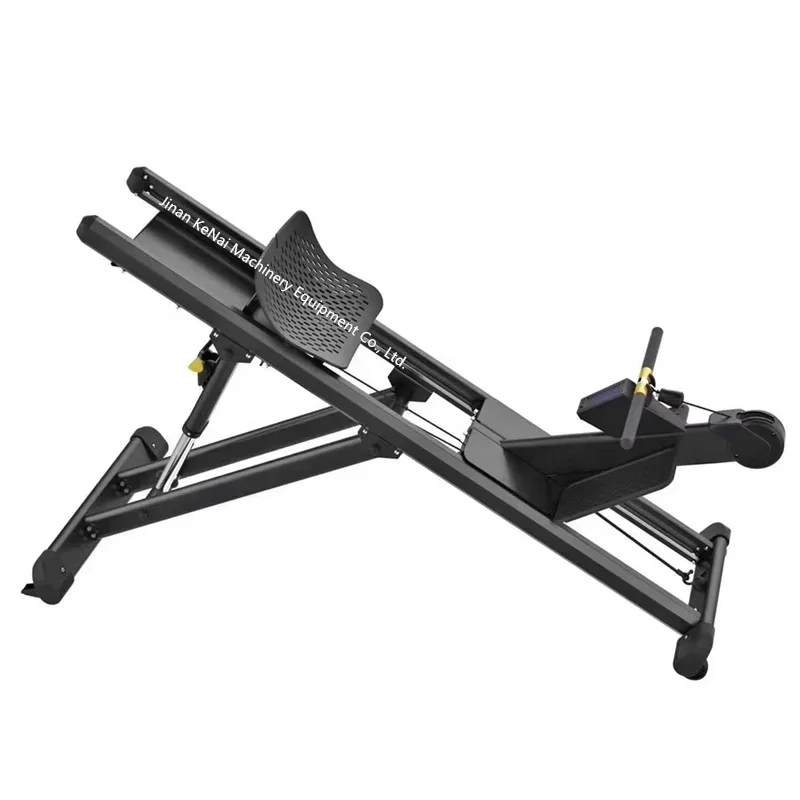 oem heavy gym equipment PS-D22 rowing machine for Commercial fitness club