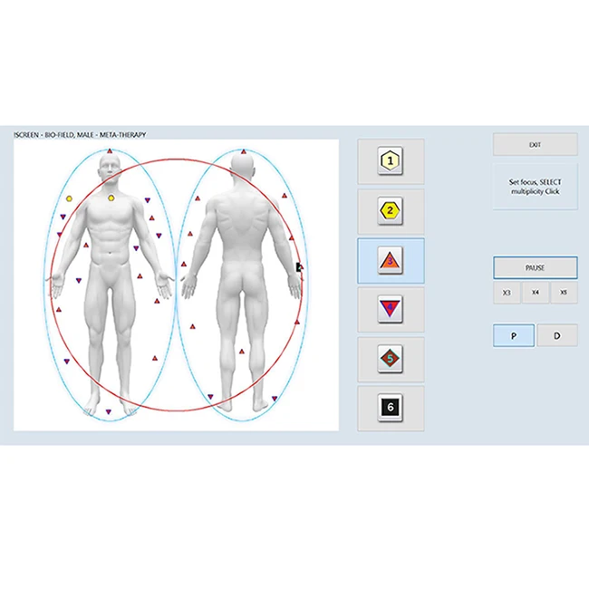 Metatron Hunter 4025 Bioresonance V20 NLS Aura Chakra NLS Lris Health Analyzer Scanner