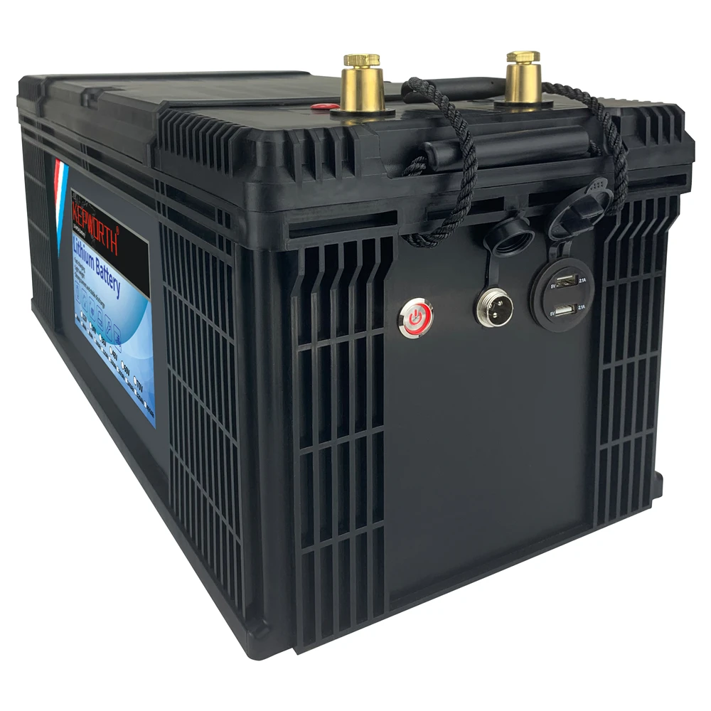 LiFePO4 Lithium Iron Phosphate Battery with BMS, 12V, 24V, 36V, 48V, 100Ah, 120Ah, 200Ah, for Golf Cart, EV, RV, Solar Energy