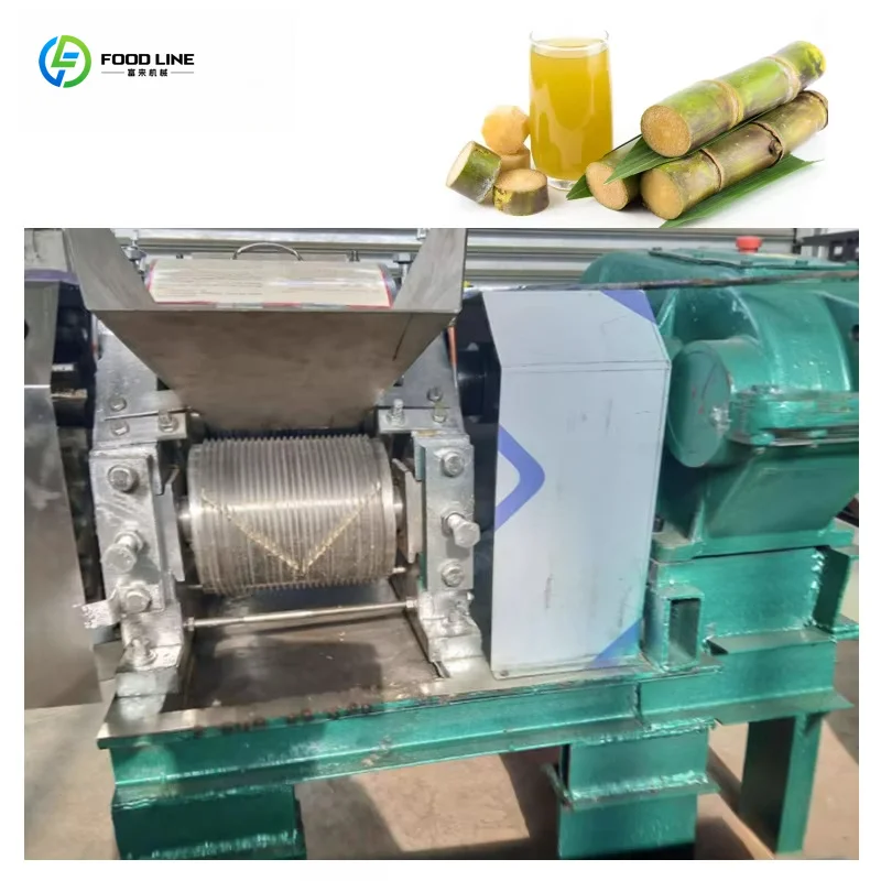 Customized Heavy Duty Commercial Sugarcane Juicer All Copper Motor For Juice Shop And Beverage Stall