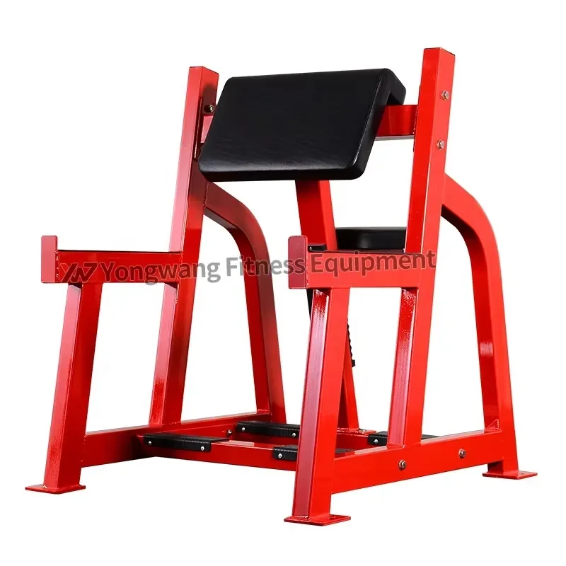 Factory Direct Sale YW-1607 Commercial Workout Machine Seated Arm Curl for Sale