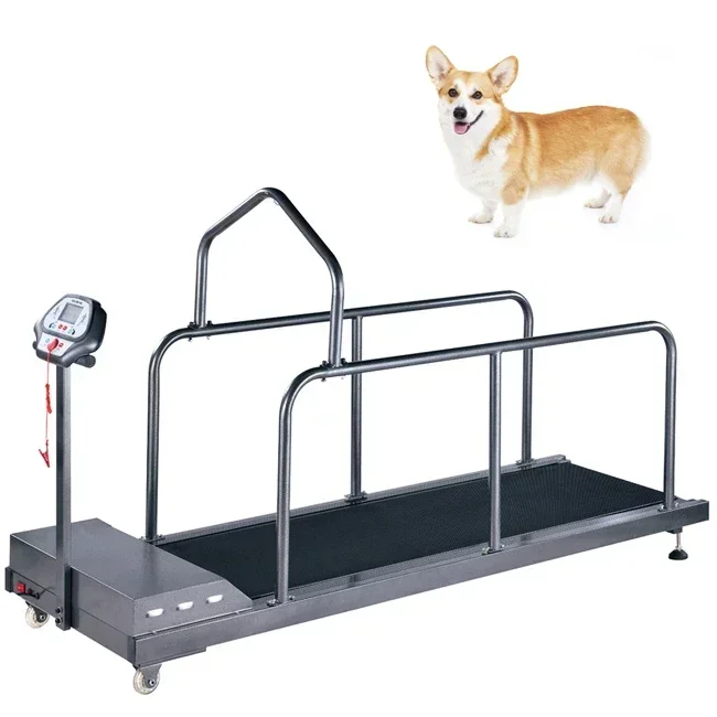 Pet Dog Lose Weight Exercise High Speed Hound Electric Running Machine Dog Treadmill Pet training sport treadmill