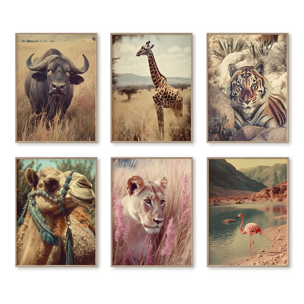 

Tiger Camel Flamingo in Desert Giraffe Vintage Aesthetic Photos Nature Inspired Surreal Landscape Safari Canvas Poster Prints