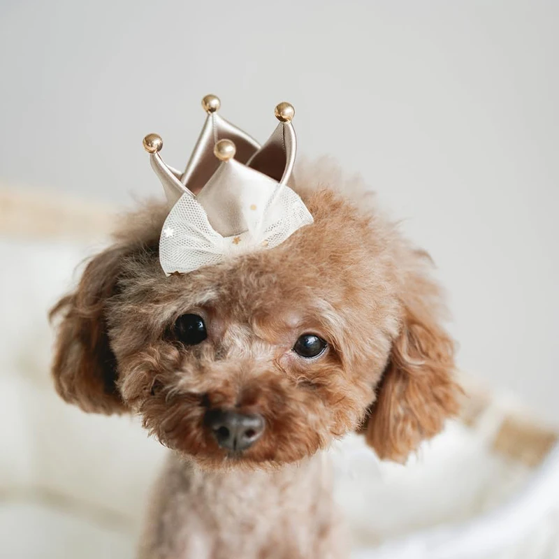 Mini Birthday Crown Pet Dog Cat Birthday Hat Cute Accessories Pet Aprty Cosplay Birthday Hair Clips Kitten Grooming Supplies