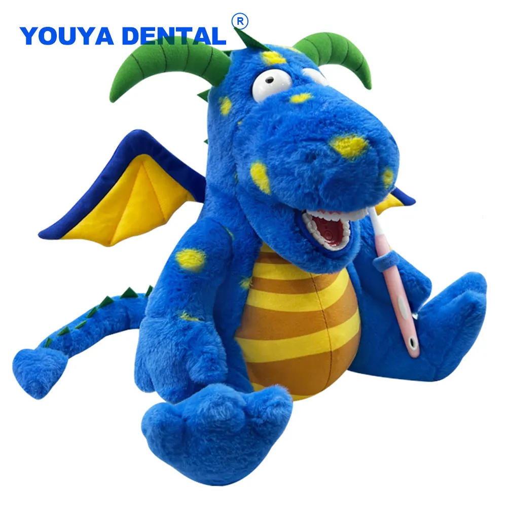 Dentistry Teeth Model With Toothbrush For Brushing Teeth Teaching Demo For Kids Learning Tooth Shaped Handheld Clinic Gift