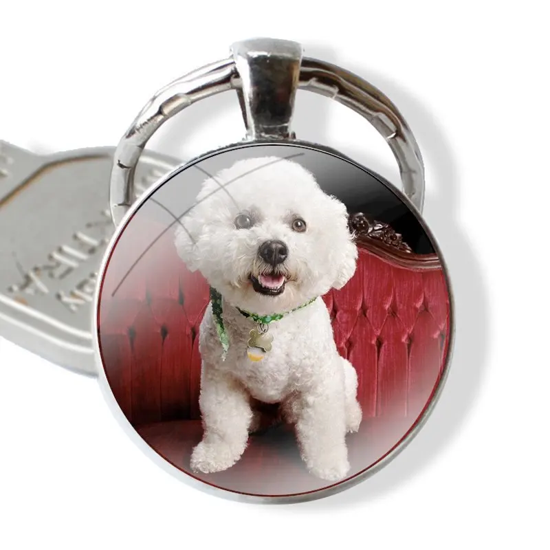 Phone Shell Covers Animal Bichon frise dog Adorable Colored Drawing glass cabochon keychain Car key chain Charms keychains Gifts