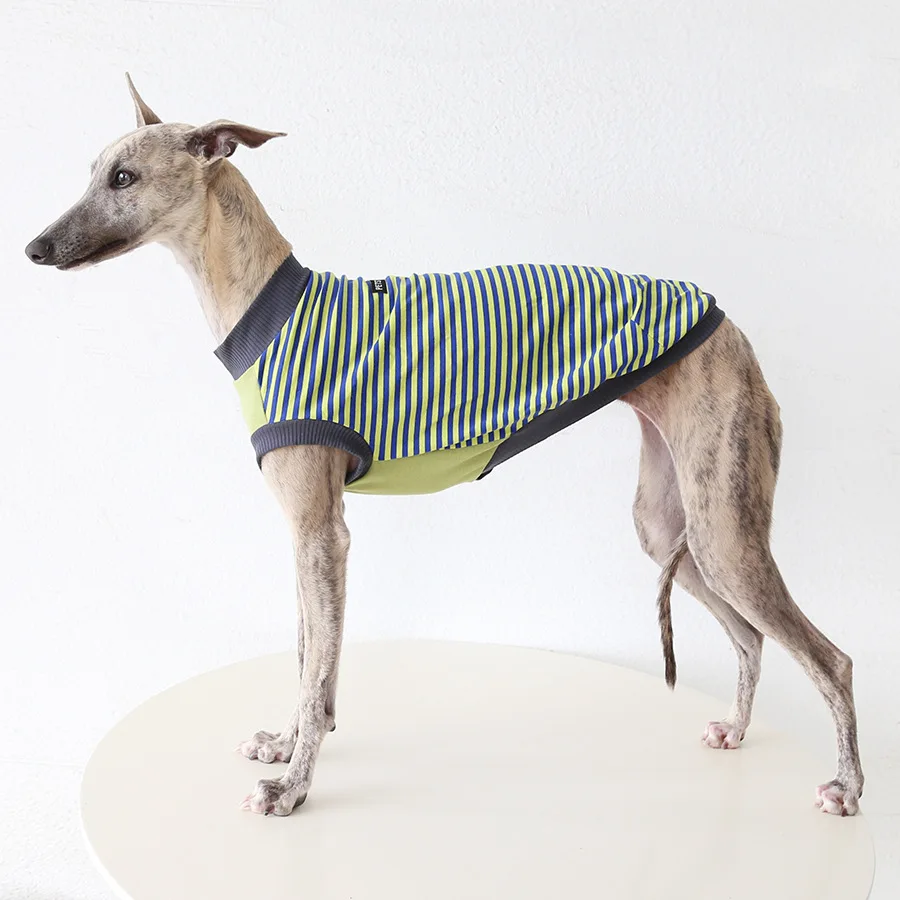 

Mutihome 2026 Fashion Vintage Pet Supplies Contrasting Striped Vest Italian Little Lingti Huibit Pet Clothes Dog Clothes