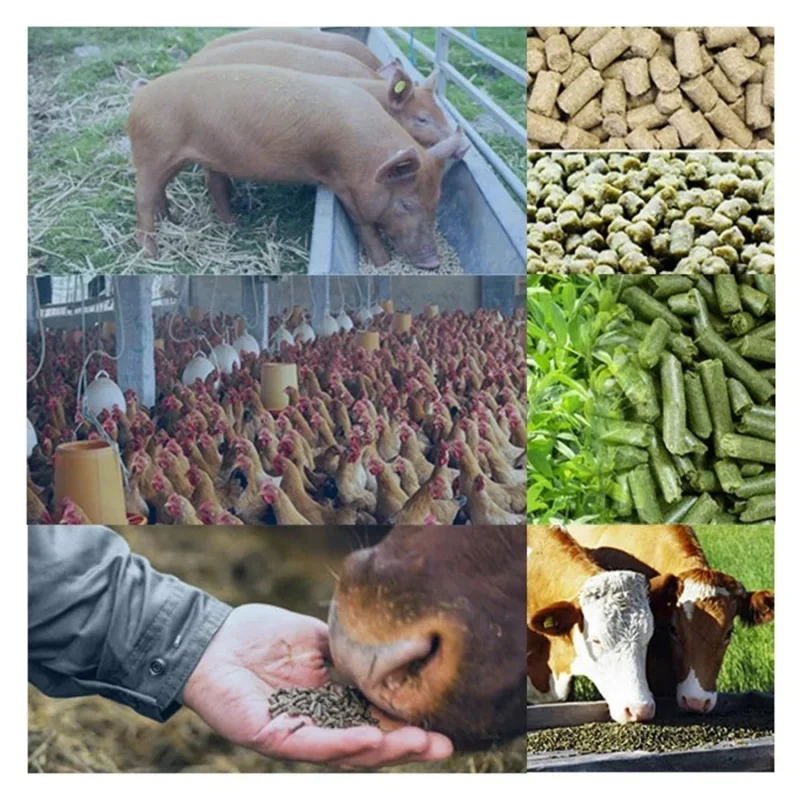 Mesin Pembuat Pakan Ternak Mobile Bertenaga Baru, Produktivitas Tinggi untuk Unggas/Sapi/Ikan, 70-120Kg/Jam