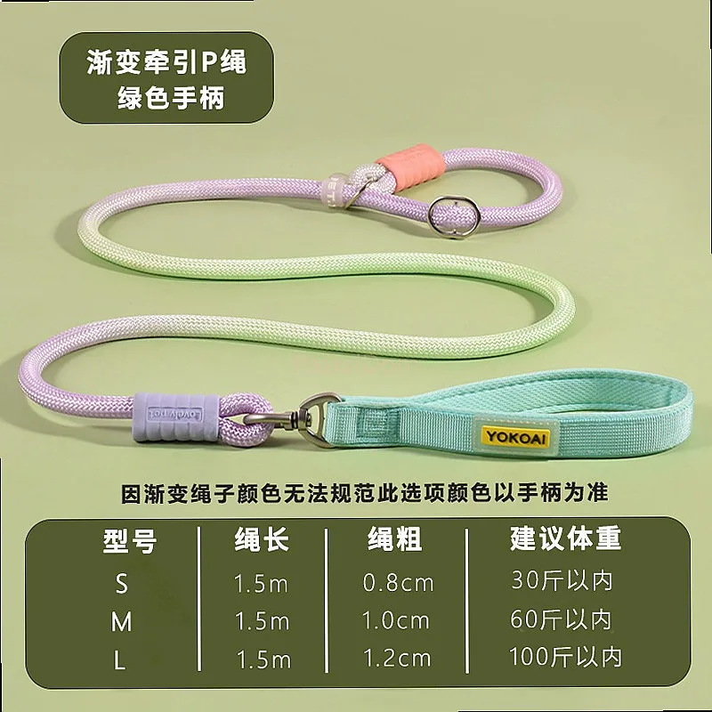 New Hot Selling Dog Anti-Pull P-Leash Tangle-Free Pet Leash for Medium Large Dogs No-Pull Rope Chain